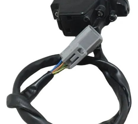 Acelerador Eletrônico Ducati Multistrada V4 21-25 Original