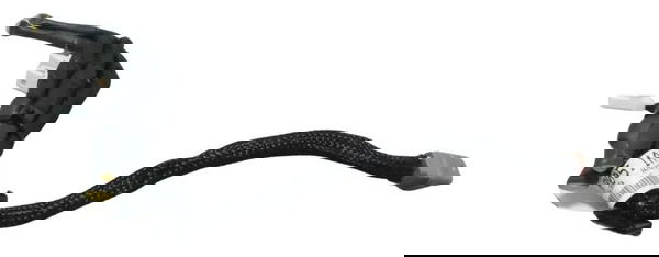 Chicote Lanterna Traseira Ducati Multistrada V4 21-25 Origin