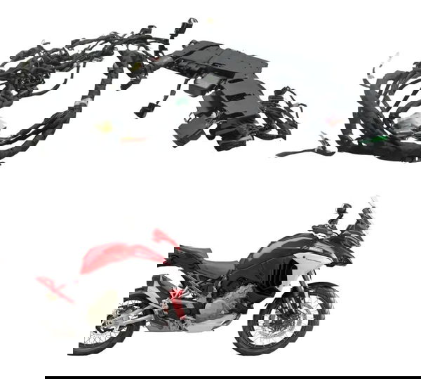 Chicote Principal C/ Avaria Ducati Multistrada V4 21-25 Orig