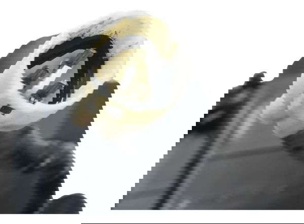 Chave Ignição C/ Avaria Ducati Multistrada V4 21-25 Original