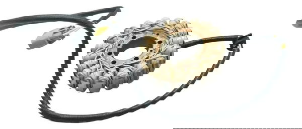 Estator Ducati Multistrada V4 21-25 Original