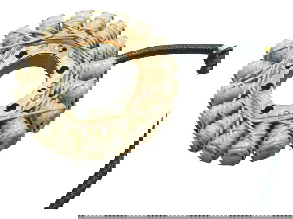 Estator Ducati Multistrada V4 21-25 Original