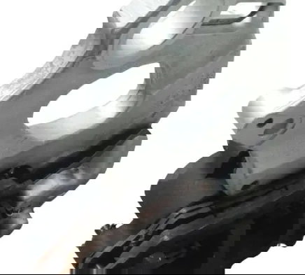 Pinça Freio Traseira Ducati Multistrada V4 21-25 Original