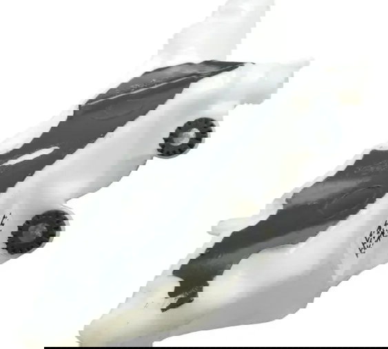 Reservatório Água Ducati Multistrada V4 21-25 Original