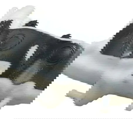 Reservatório Água Ducati Multistrada V4 21-25 Original