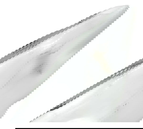 Reservatório Água Ducati Multistrada V4 21-25 Original