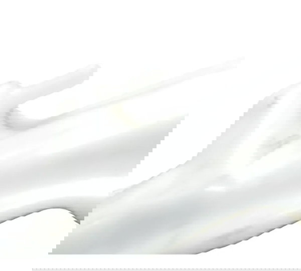 Reservatório Água Ducati Multistrada V4 21-25 Original