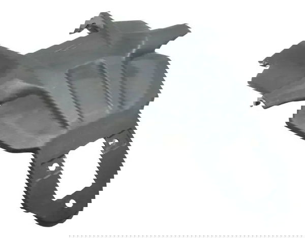 Suporte Placa Ducati Multistrada V4 21-25 Original