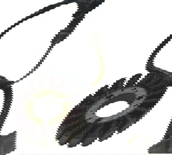 Estator Ktm Duke 200 12-17 Original