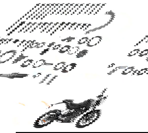 Kit Parafuso Motor Ktm Duke 200 12-17 Original