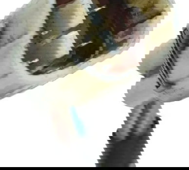 Atuador Injeção Kawasaki Ninja 250r 09-12 Original