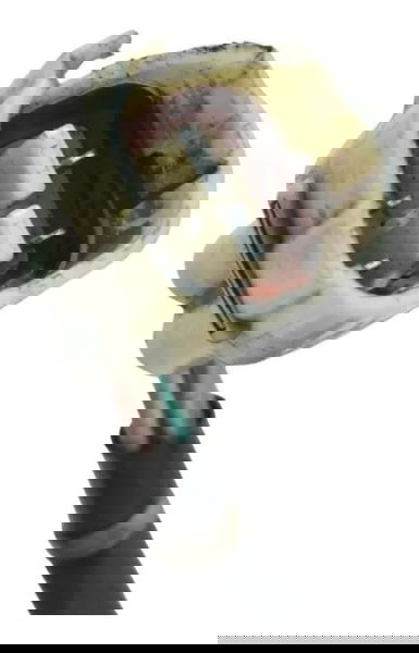 Atuador Injeção Kawasaki Ninja 250r 09-12 Original