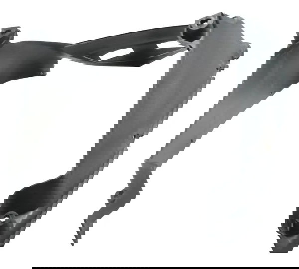 Carenagem Radiador Kawasaki Ninja 250r 09-12 Original