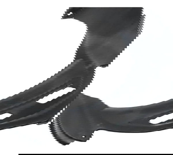 Carenagem Radiador Kawasaki Ninja 250r 09-12 Original