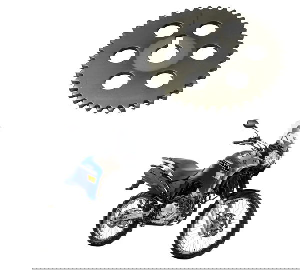 Engrenagem Comando Yamaha Xtz 250 Tenere 16-19 Origina