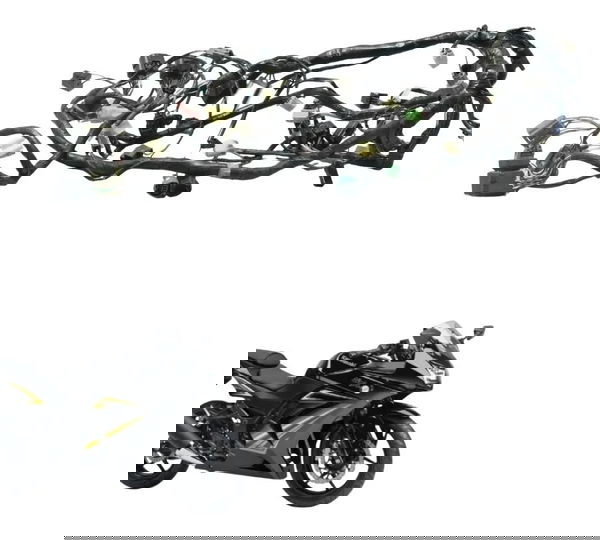 Chicote Principal Kawasaki Ninja 250r 09-12 Original