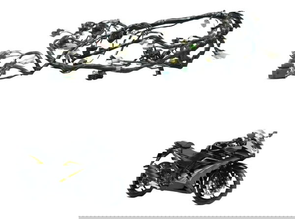 Chicote Principal Kawasaki Ninja 250r 09-12 Original