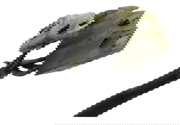 Estator C/ Pulsador Yamaha Xtz 250 Tenere 16-19 Original