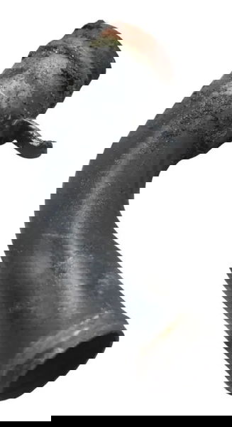 Conexão Água Kawasaki Ninja 250r 09-12 Original