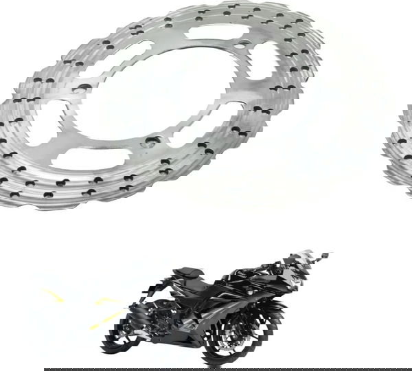 Disco Freio Traseiro Kawasaki Ninja 250r 09-12 Original
