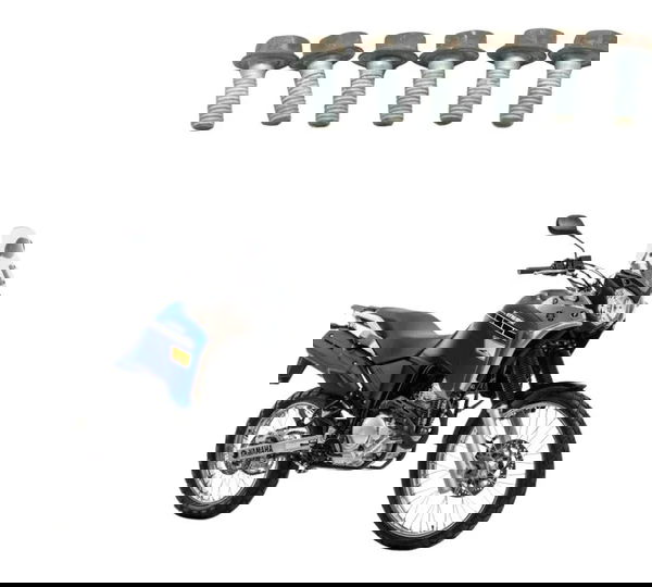 Jogo Parafuso Disco Freio Diant Yamaha Xtz 250 Tenere 16-19