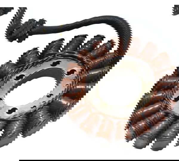 Estator Kawasaki Ninja 250r 09-12 Original