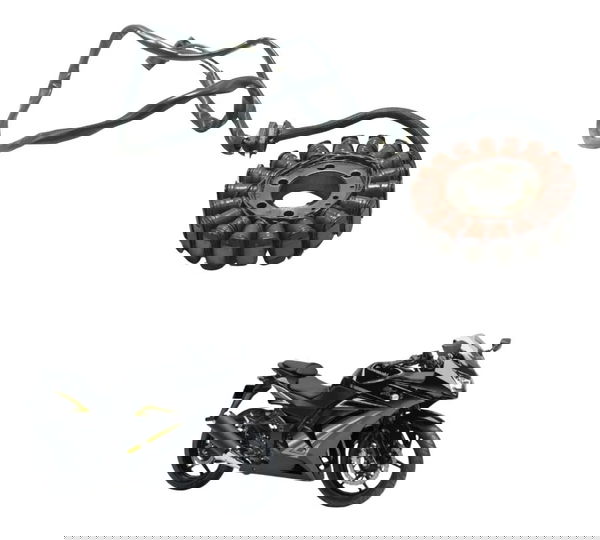 Estator Kawasaki Ninja 250r 09-12 Original