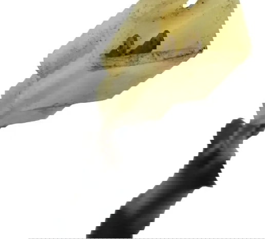 Interruptor Freio Traseiro Kawasaki Ninja 250r 09-12 Origina