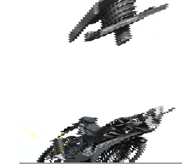 Pino Pedaleira Traseira Kawasaki Ninja 250r 09-12 Original