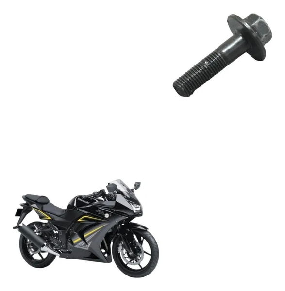 Parafuso Volante Magneto Kawasaki Ninja 250r 09-12 Original