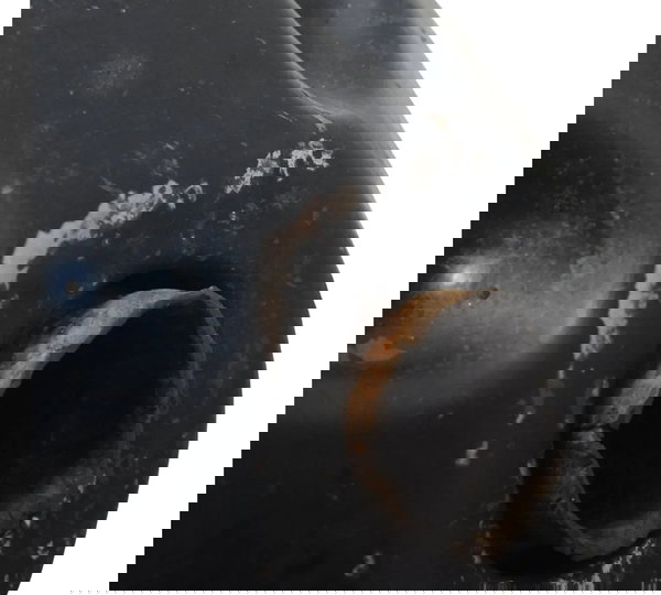 Ponteira Escape C/detalhes Yamaha Xtz 250 Tenere 16-19 Origi