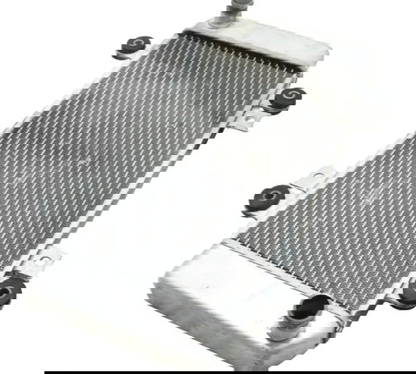 Radiador Kawasaki Ninja 250r 09-12 Original