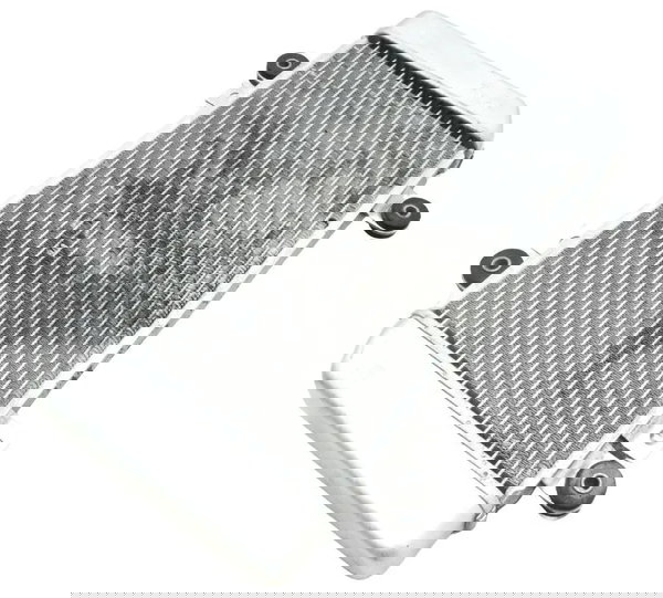 Radiador Kawasaki Ninja 250r 09-12 Original