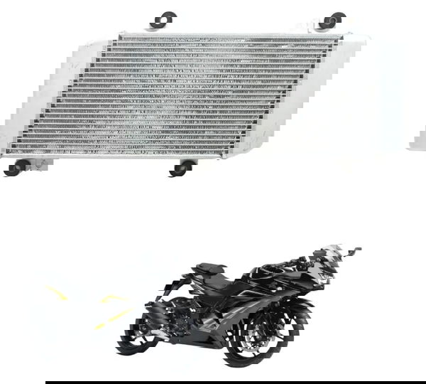 Radiador C/ Detalhes Kawasaki Ninja 250r 09-12 Original