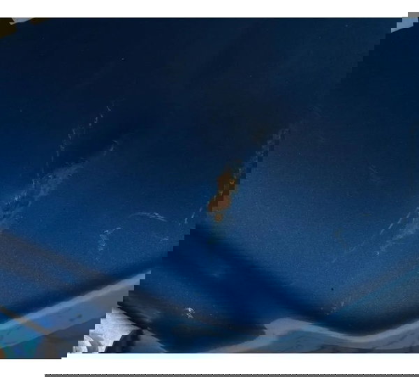 Tanque C/ Detalhes Kawasaki Ninja 250r 09-12 Original