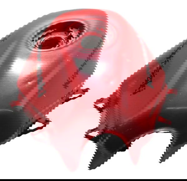 Tanque Kawasaki Ninja 250r 09-12 Original