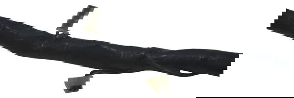 Chicote Principal C/detalhes Yamaha Virago Xv 535 94-02 Orig