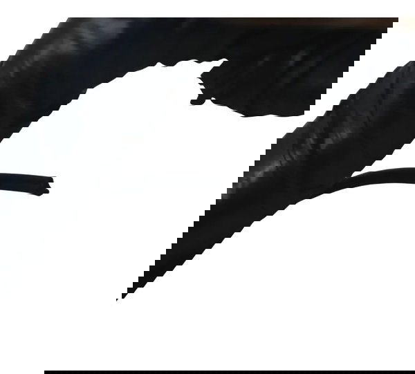 Chicote Principal C/detalhes Yamaha Virago Xv 535 94-02 Orig