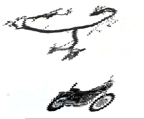 Chicote Principal C/detalhes Yamaha Virago Xv 535 94-02 Orig