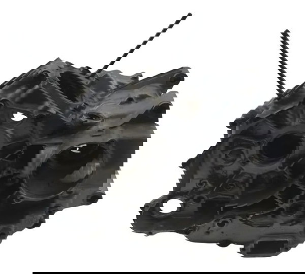 Carcaça Bloco Motor Nfe Baixa Yamaha Virago Xv 535 94-02