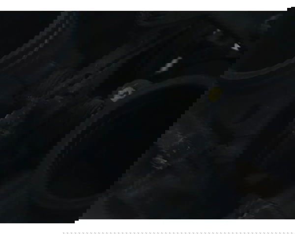 Carburador Yamaha Virago Xv 535 94-02 Original