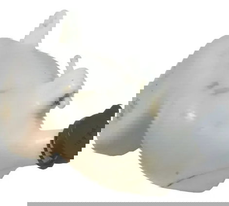 Reservatório Água Honda Cb 500 Cb500 98-05 Original