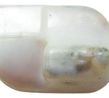 Reservatório Água Honda Cb 500 Cb500 98-05 Original