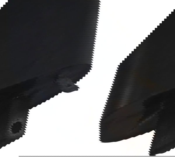 Par Bobina Ignição Yamaha Virago Xv 535 94-02 Original