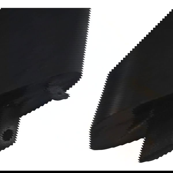 Par Bobina Ignição Yamaha Virago Xv 535 94-02 Original