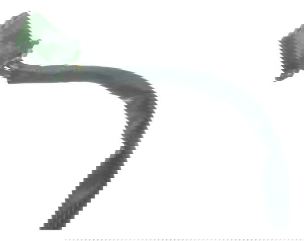 Sensor Pedal Descanso Lateral Honda Cb 500 Cb500 98-05 Origi