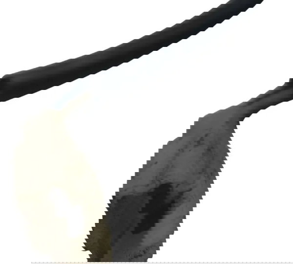 Painel Velocímetro C/ Avaria Yamaha Virago Xv 535 94-02 Orig