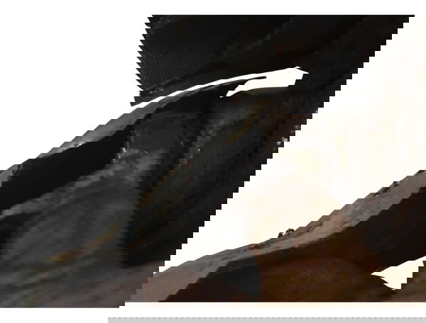 Ponteira Catalizador C/ Avar Yamaha Virago Xv 535 94-02 Orig