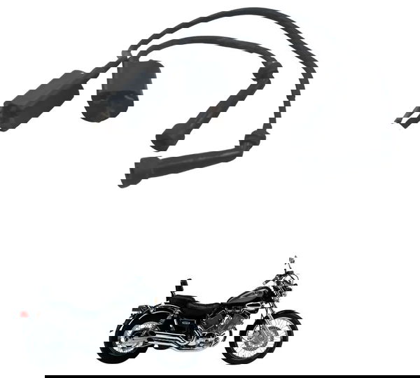 Par Bobina Ignição Yamaha Virago Xv 535 94-02 Original