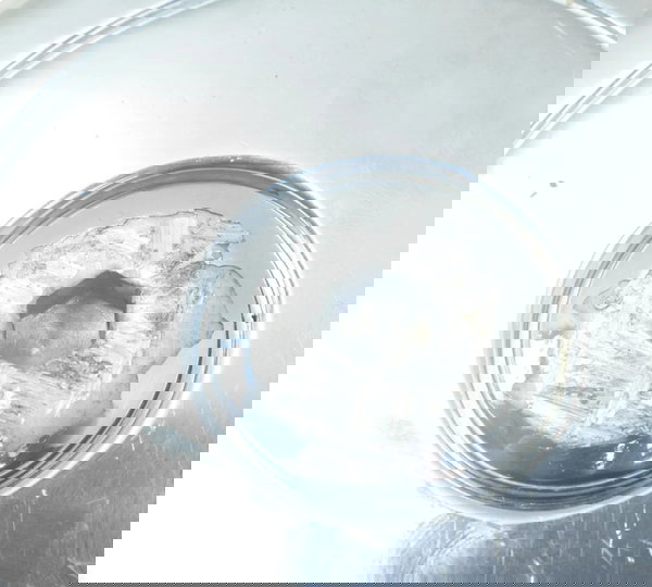 Tampa Motor Estator C/detalhes Honda Cb 500 Cb500 98-05 Orig